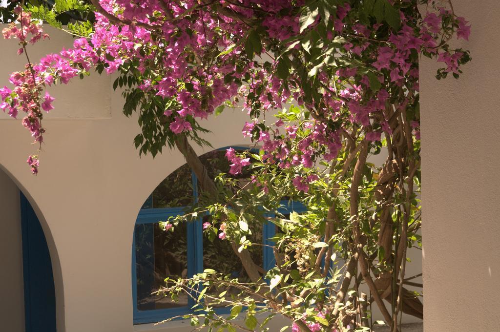 Pasalimani Hotel Çeşme Exterior photo